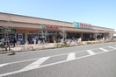 TAIRAYA(スーパー)まで138m Ｎ・Ｓパレス