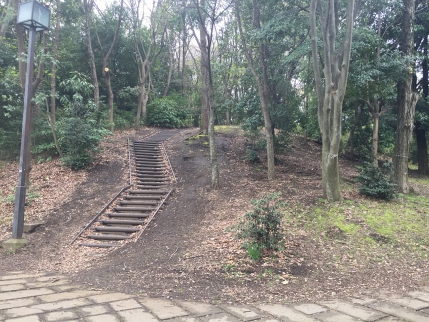 葛ケ谷公園(公園)まで325m 西谷五番館