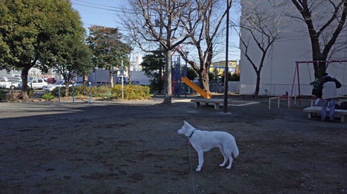 狩場町北公園(公園)まで202m ドエル正和