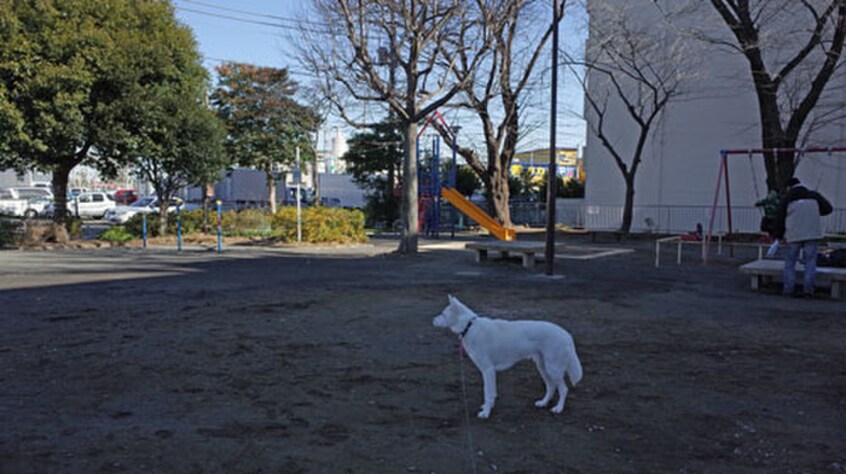 狩場町北公園(公園)まで202m ドエル正和