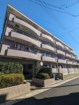 ＡＣＲＯ ＰＲＥ ＳＴＡＧＥ ２