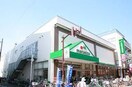 マルエツ元住吉店(スーパー)まで510m サニーハイツ青山