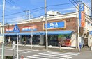 ビッグ・エー 相模原鵜野森店(スーパー)まで243m フラットＴ