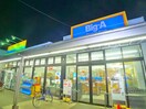 Big-A(ディスカウントショップ)まで230m プチファミールⅡ