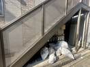 建物設備 マイプレイス立石