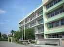 国分寺市立第一小学校(小学校)まで400m リプレースメント広尾