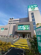 ニトリ(電気量販店/ホームセンター)まで573m ドゥーエ大鳥居WEST