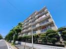 上鷺ロイヤルハイツの外観