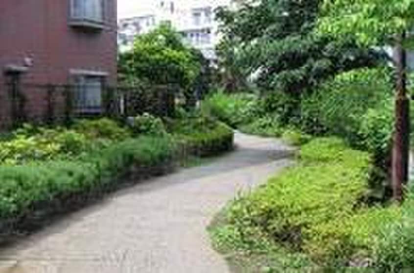 谷川緑道(公園)まで494m フェニックスコ－ト二子玉川