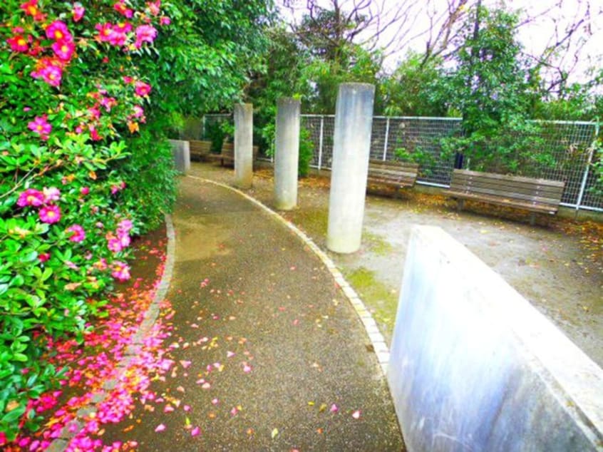 その他 メゾンド－ル藤原