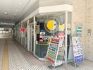 CoCo壱番屋 東急藤が丘駅前店(その他飲食（ファミレスなど）)まで826m プリメ－ラ