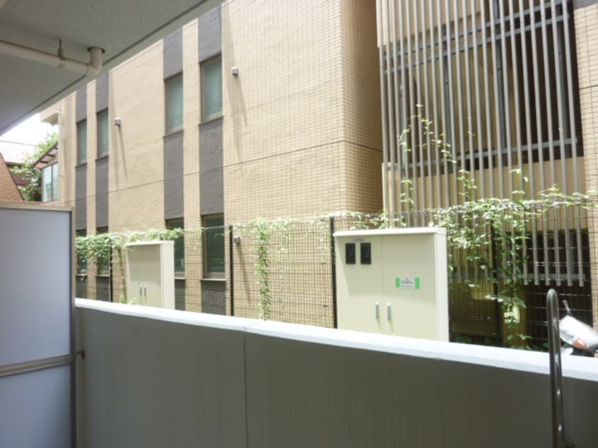 室内からの展望 ERIGER T tomigaya