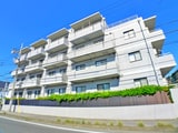 トーヨー柏ハイム