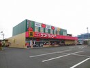 サンドラッグ　福生店(ドラッグストア)まで541m 春嬉ビル