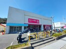 ダイソー 浦賀店(100均)まで1100m 西浦賀三丁目貸家