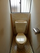 トイレ Ｐｉgｌｅｔ