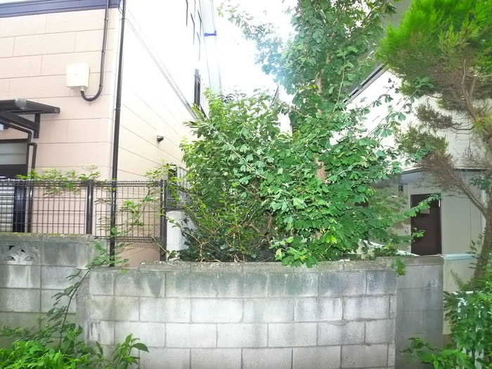 室内からの展望 Ｐｉgｌｅｔ