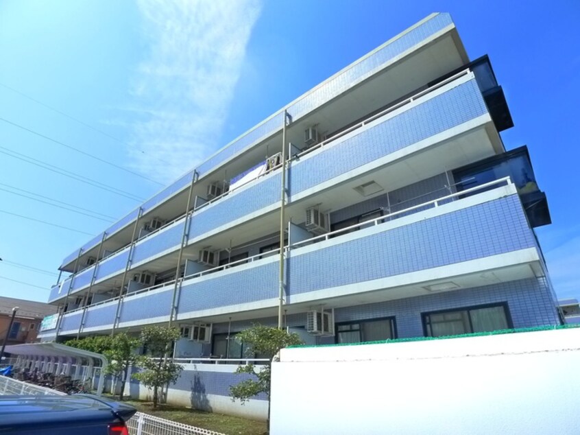 その他 ベルドゥムール鎌ケ谷