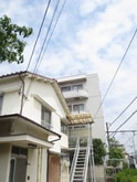完成写真