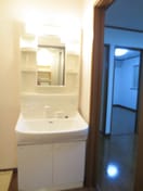 洗面 エクセルつくし乃