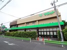 サミットストア池上８丁目店(スーパー)まで280m ステップⅡ