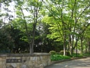 千葉公園(公園)まで450m ＲＯＣＫＹ椿森