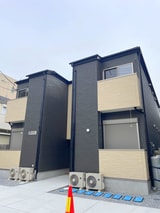 Ｆｒｅｅｓｉａ　ｃｏｕｒｔ