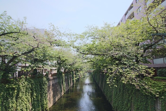 目黒区(公園)まで25m タイガーマンション