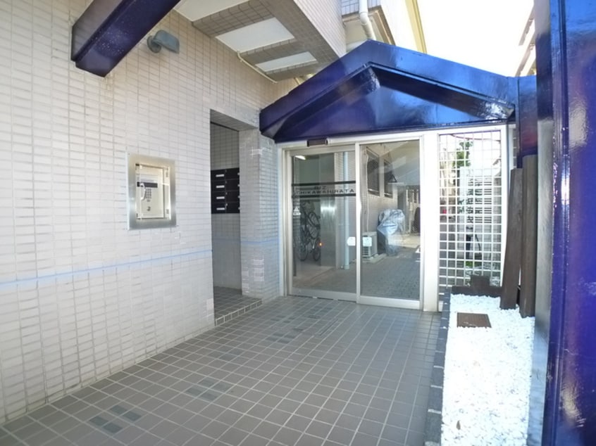その他 リズ市川平田