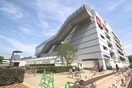 リヴィンOZ(スーパー)まで440m グリ－ンハイツ