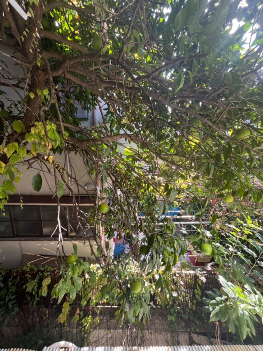 室内からの展望 コーポなかやま