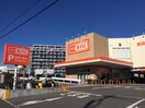 Ｔｈｅ Ｂｉｇ（ザ・ビッグ）平塚真田店(スーパー)まで528m ドリームコート