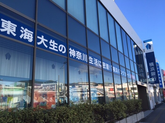 横浜銀行 東海大学駅前支店(銀行)まで434m ドリームコート
