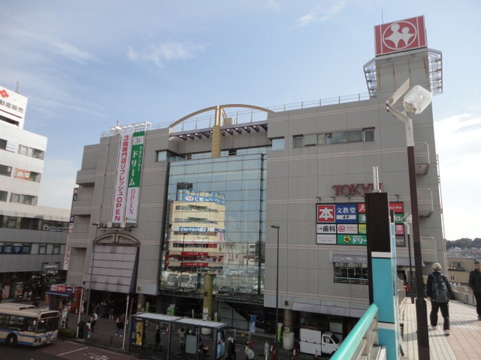 東急ストア(スーパー)まで308m フラッツ加山Ⅱ