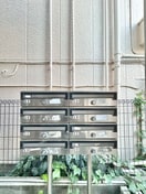 その他 メゾン・ド・ＪＵＮ