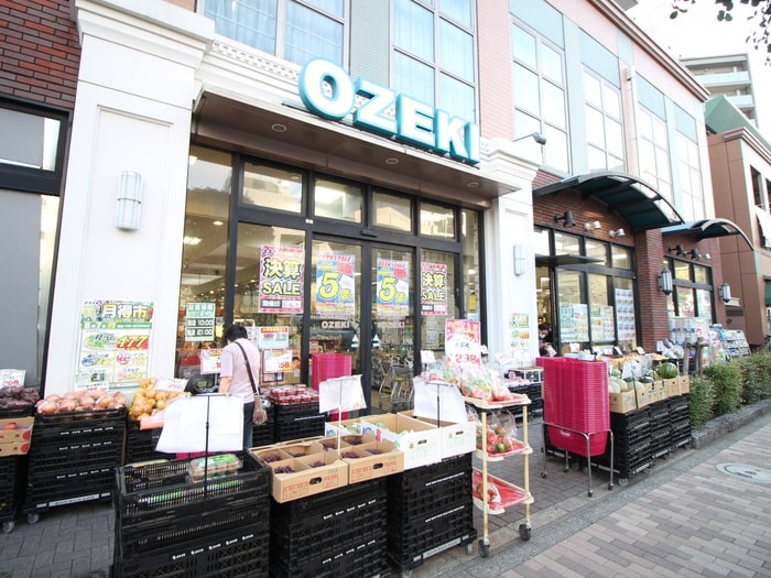 オオゼキ野沢店(スーパー)まで500m スカイハイム