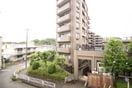 室内からの展望 ルピナス8