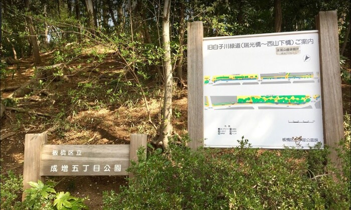 成増5丁目公園(公園)まで1000m リンデンハイム赤塚