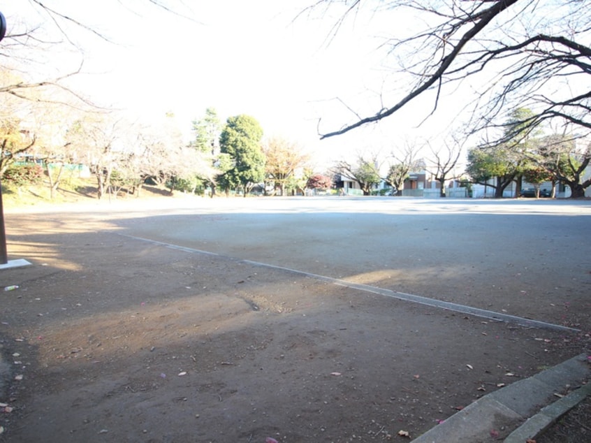 小台公園(公園)まで410m ヒルトップ鷺沼(105)