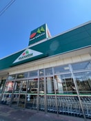 マルエツ草加稲荷店(スーパー)まで600m AdorableⅠ