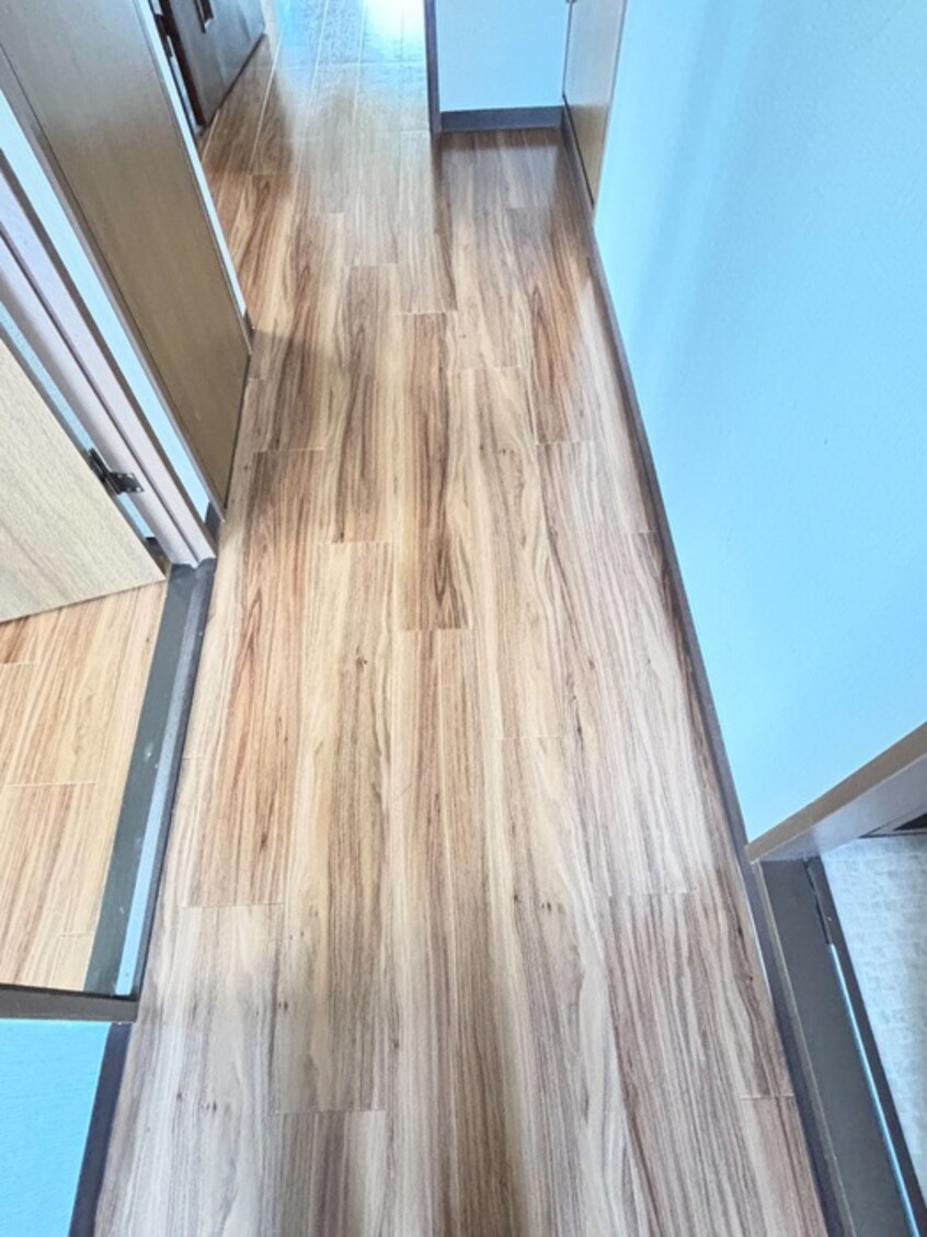 廊下 ドルフソニアド－ロ