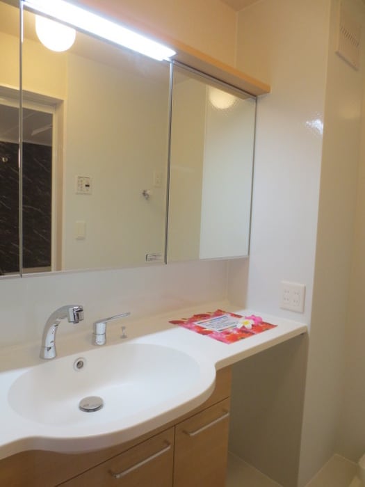 洗面 ドエルピアＡ