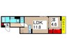仮）D-ROOM大谷田3丁目PJ　A棟 1LDKの間取り