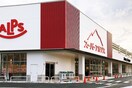スーパーアルプス 散田店(スーパー)まで485m メゾン・ド・ラファイエット