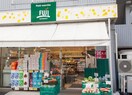 プチマルシェ フジ 山元町店(スーパー)まで50m ヒルトップクラブハウス横浜山手