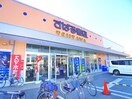 TSUTAYA+本屋(ビデオ/DVD)まで3030m ベルビュ－佐倉宮前