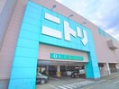 ニトリ(ショッピングセンター/アウトレットモール)まで1000m グリ－ンポ－ト