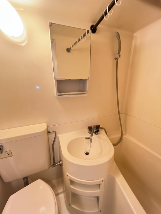 洗面 パークアベニュー東府中