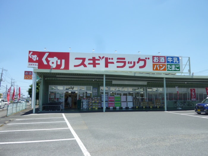 スギドラッグ飯能店(ドラッグストア)まで597m フレンドシップ岩沢Ｃ