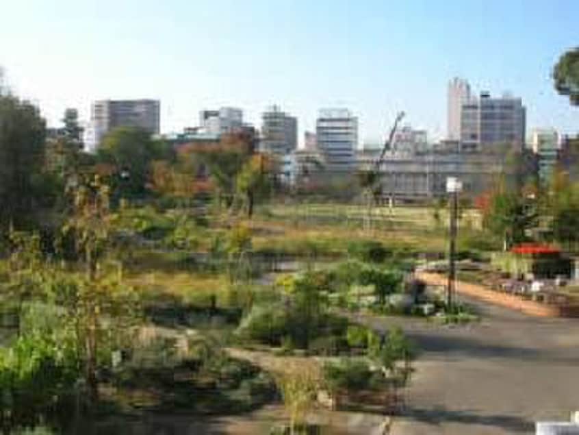中目黒公園(公園)まで240m パリエンテ（301）